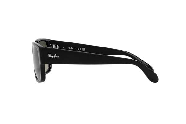 RAYBAN 4388 Occhiali da Sole 
