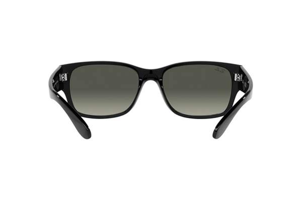 RAYBAN 4388 Occhiali da Sole 