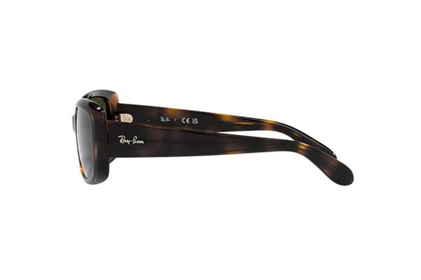 RAYBAN 4389 Occhiali da Sole 