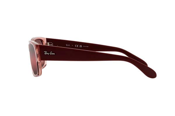 RAYBAN 4388 Occhiali da Sole 