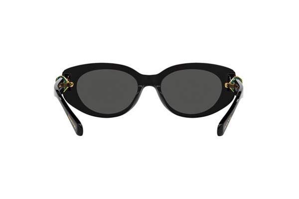 SWAROVSKI 6002 Occhiali da Sole 