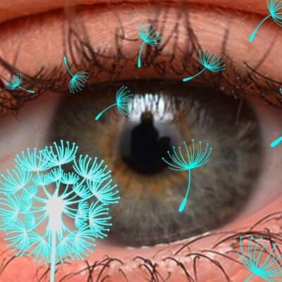 Allergie agli Occhi e Prurito: Cause e Come Alleviarle
