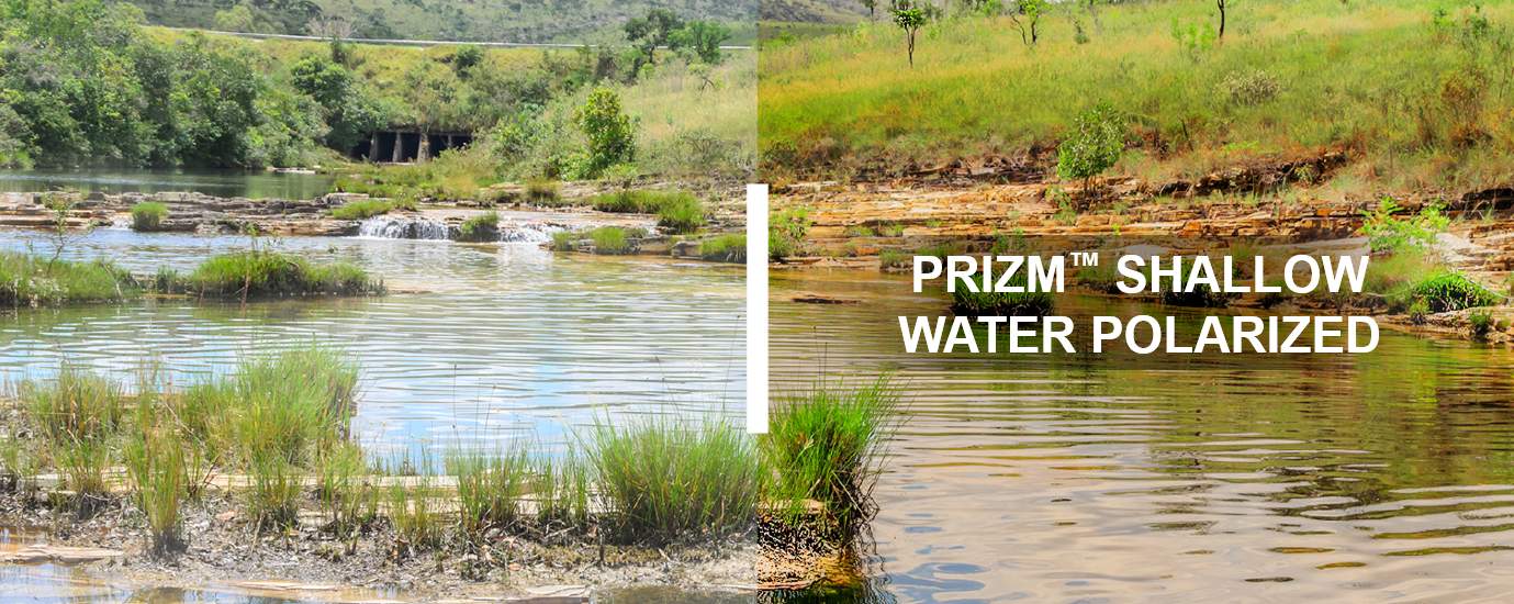 Prizm Shallow Water polarizzato, come si vede